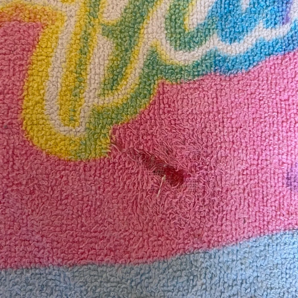 VTG Lisa Frank Casey and Caymus beach towel